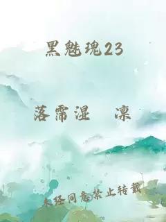 黑魅瑰23