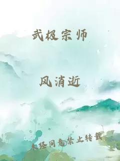 武极宗师