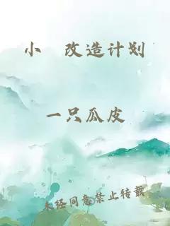 小茓改造计划