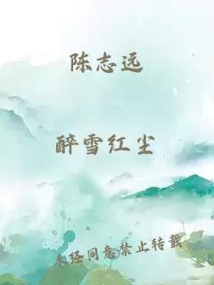 陈志远