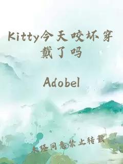 Kitty今天咬坏穿戴了吗