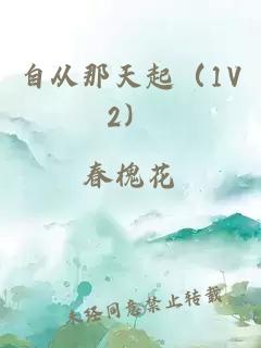 自从那天起（1V2）