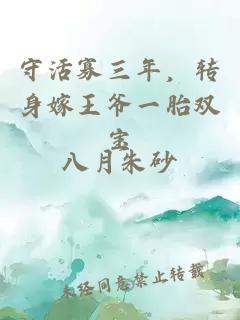 守活寡三年，转身嫁王爷一胎双宝