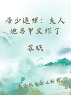 帝少追缉：夫人她马甲又炸了