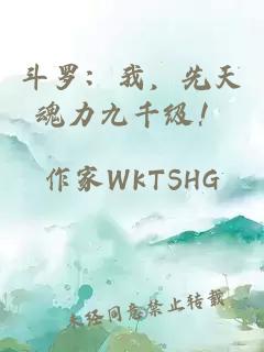 斗罗：我，先天魂力九千级！