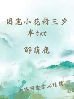 团宠小花精三岁半txt