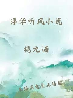 浮华听风小说